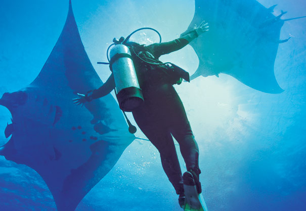 A diver interacting with two giant mantas at Socorro